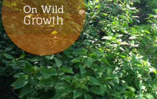 On Wild Growth