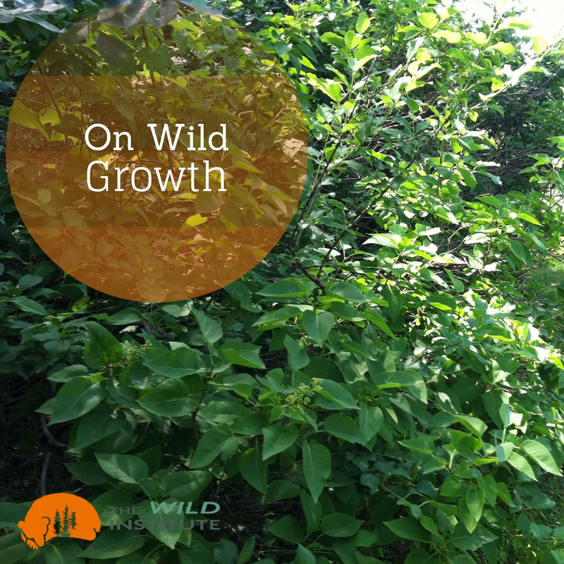 On Wild Growth